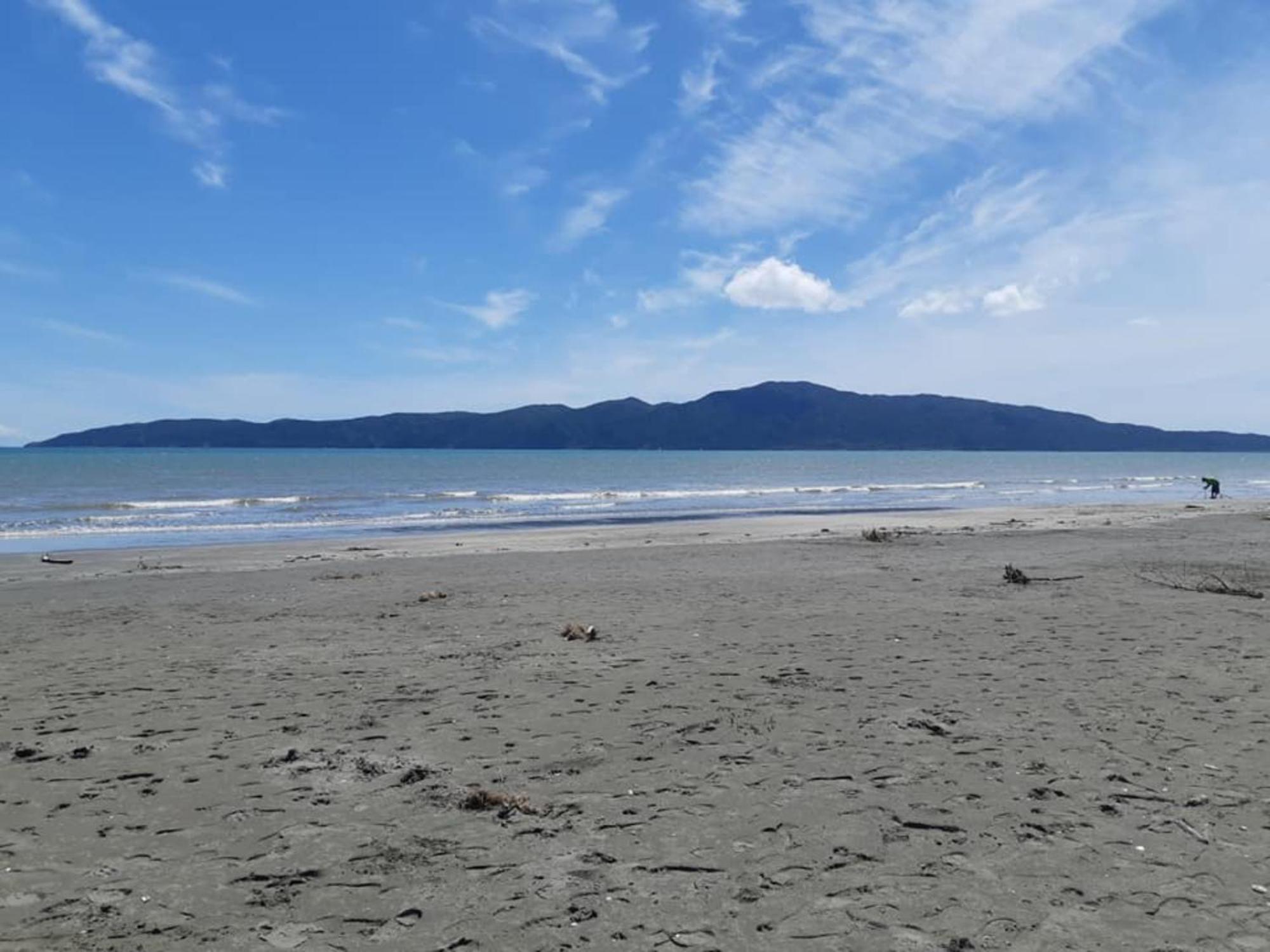 Raumati Guest House Парапарауму Екстериор снимка